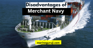 disadvantages of merchant navy